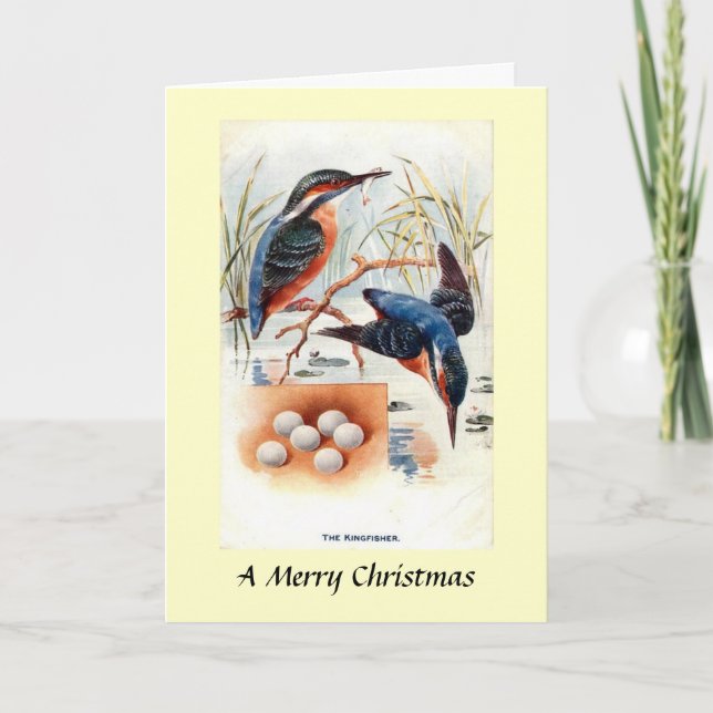Christmas Card - Kingfishers (Front)