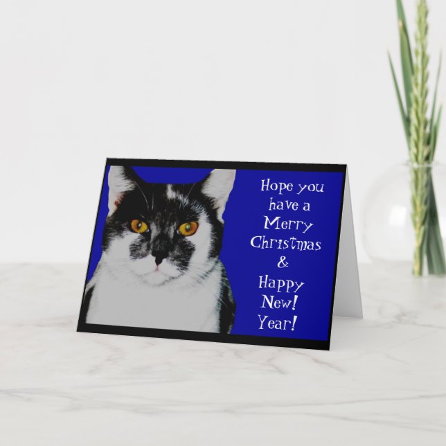 Christmas Card Kitty... (Front)