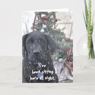 Christmas Card ~Labrador Puppy