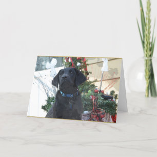 Christmas Card ~ Labrador Retriever