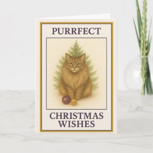 Christmas Card Maine Coon Cat Illustration