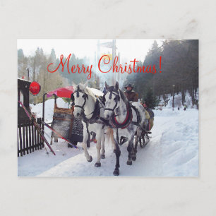 Christmas Card Merry Christmas