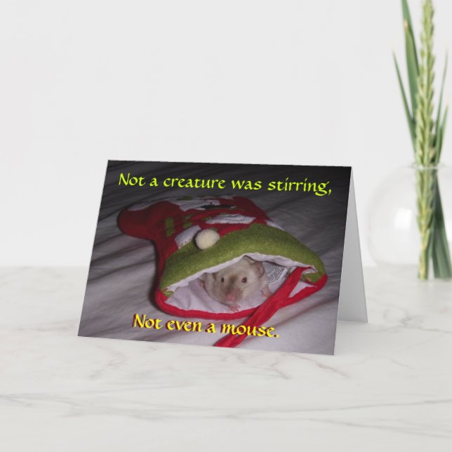 Christmas Card: Not Even a Mouse Holiday Card (Front)
