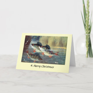 Christmas Card - Perch