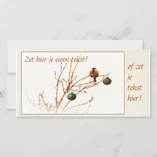 Christmas card/photograph card - just himself your