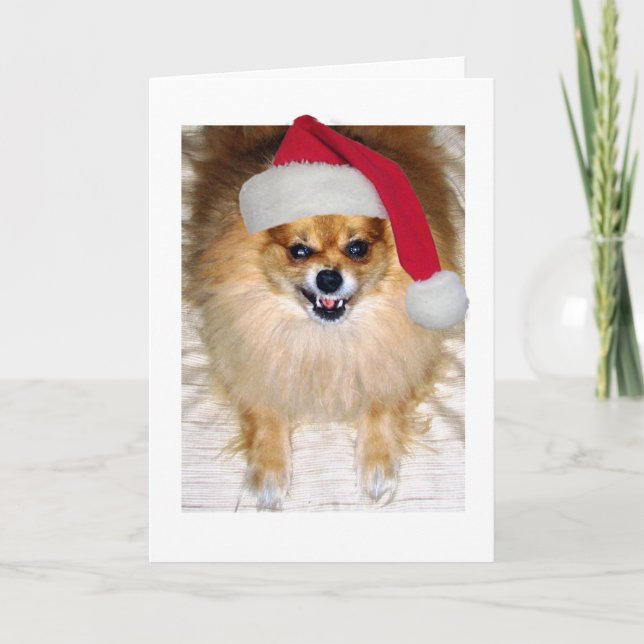 Christmas Card | Pomeranian Santa Dog (Front)