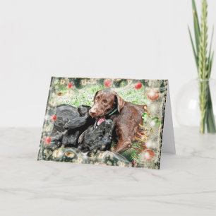 Christmas Card ~ puppy humour