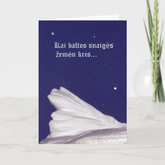 Christmas Card- Rami naktis Holiday Card