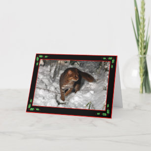 Christmas card - rusty spotted cat (black)