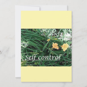 christmas card---self control holiday card