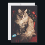 Christmas Card Smilla V1<br><div class="desc">Christmas Card with Smilla a Maine Coon</div>
