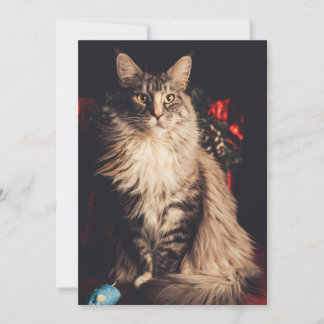 Christmas Card Smilla V2