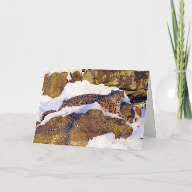 Christmas card Snow leopard (Front)