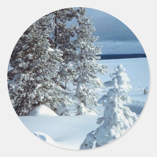 Christmas Card Stickers (Front)