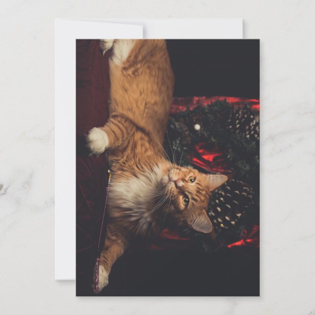 Christmas Card Tarzan V1 (Front)