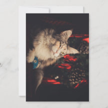 Christmas Card Titiyo V3