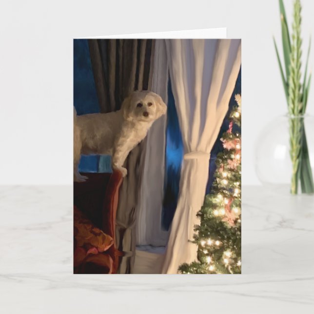 Christmas Card - Waiting for Santa Paws (Front)
