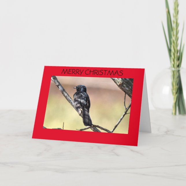CHRISTMAS CARD WILLIE WAGTAIL AUSTRALIA (Front)