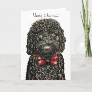 Christmas card with a beautiful Cockapoo