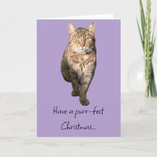 Christmas card with a charming tabby cat