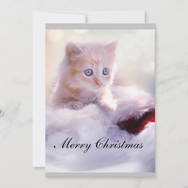 Christmas card with cat. (Front)