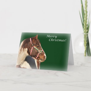 Christmas Card With Horse