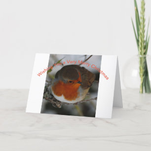 Christmas Card with Robin