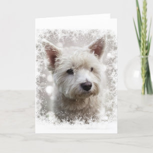 Christmas card with Westie