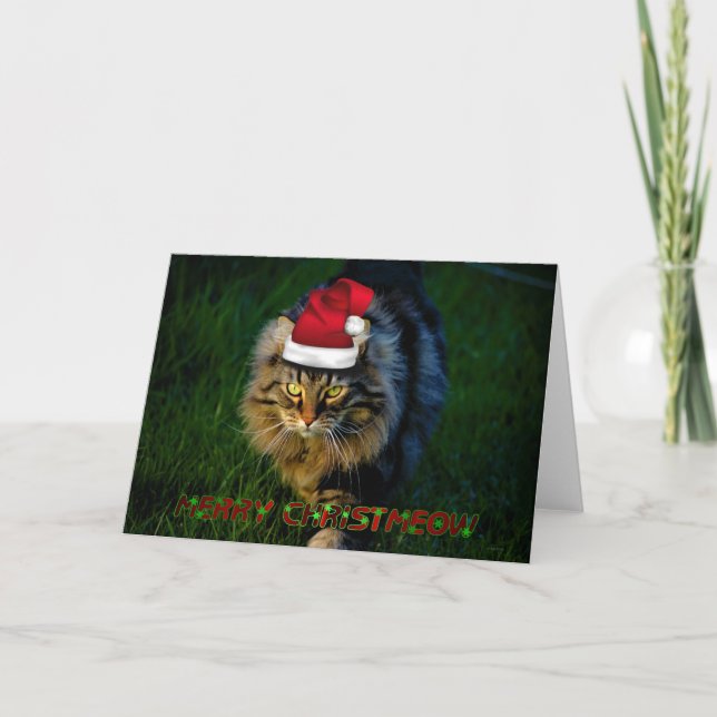 Christmas card xmas Christmas animal kitty cat (Front)