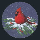 CHRISTMAS: CARDINAL: BIRD: ART CLASSIC ROUND STICKER<br><div class="desc">A bright red Cardinal sits on snowy pine branches decked with juicy red berries as snow falls gently against a dark blue background.  Artwork created with Colour Pencils.</div>