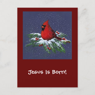 CHRISTMAS CARDINAL: BIRD: ART: SNOW HOLIDAY POSTCARD