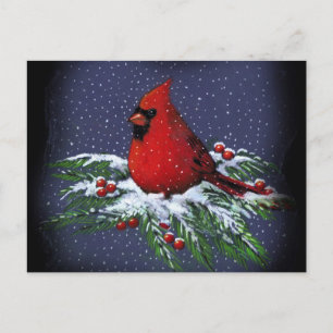 CHRISTMAS CARDINAL: BIRD: ART: SNOW HOLIDAY POSTCARD