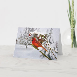 Christmas,  Cardinal Bird, Snow, Card