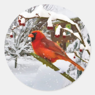 Christmas,  Cardinal Bird, Snow, Sticker