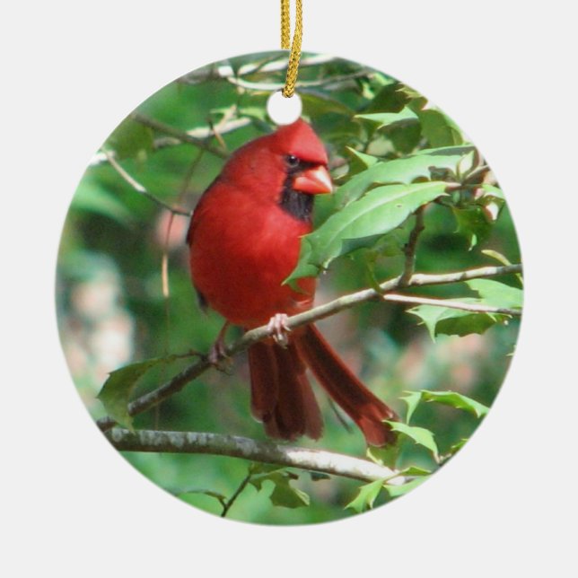 Christmas Cardinal Ceramic Tree Decoration (Front)