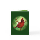 Christmas Cardinal Greeting Card