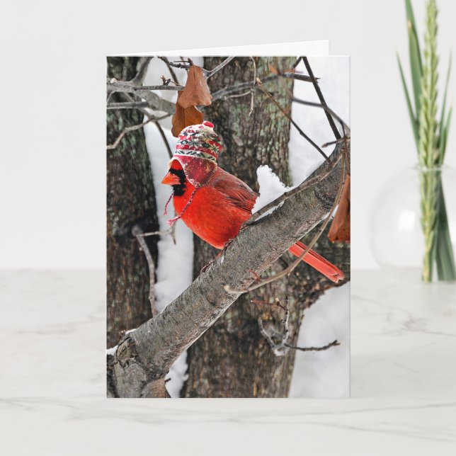 Christmas Cardinal Holiday Card (Front)