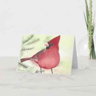 Christmas Cardinal in pines greeting card