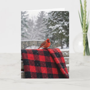 Christmas Cardinal On a Buffalo Plaid Blanket Card