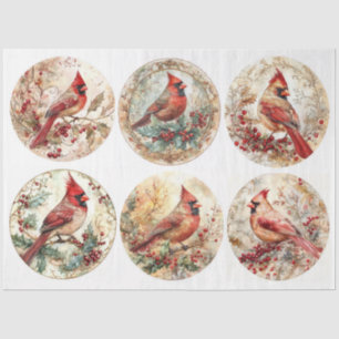 Christmas Cardinal Rounds Tissue Paper
