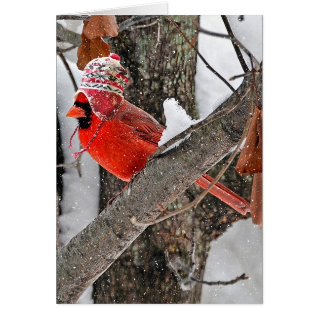 Christmas Cardinal with Stocking Cap (Front)