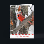 Christmas Cardinal with Winter Cap  Holiday Card<br><div class="desc">Cardinal with winter hat in a tree for Christmas.
All text is editable.</div>