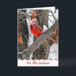 Christmas Cardinal with Winter Cap  Holiday Card<br><div class="desc">Cardinal with winter hat in a tree for Christmas.
All text is editable.</div>