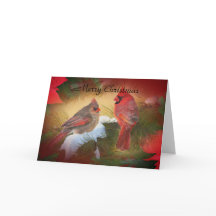 Christmas cardinals