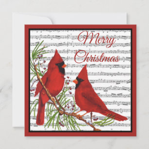 Christmas cardinals holiday card