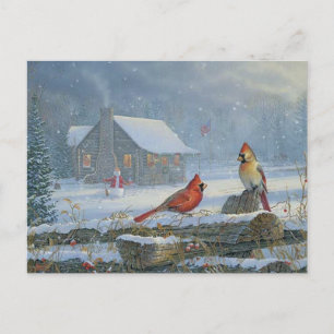 Christmas Cardinals  Postcard