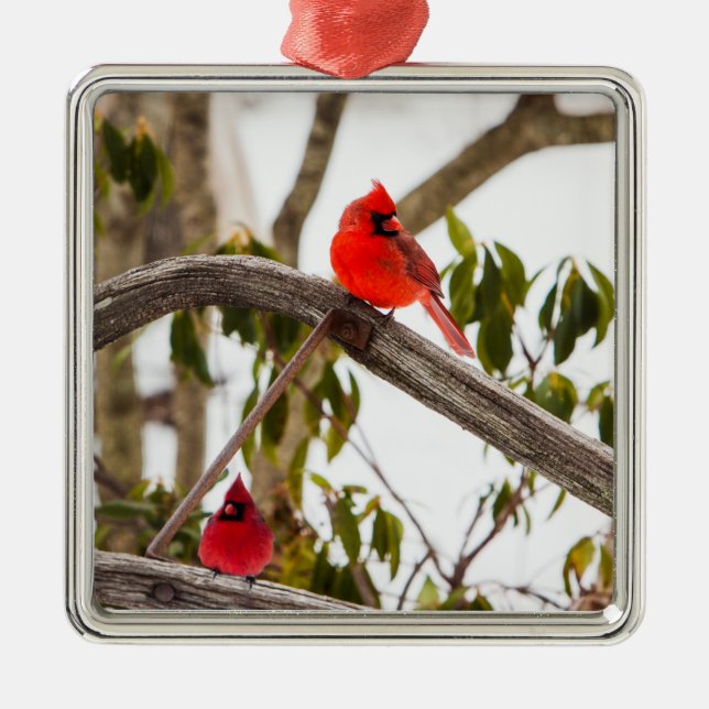 Christmas Cardinals Scene Metal Tree Decoration (Front)