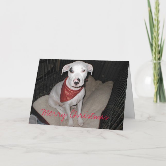 Christmas Cards (Front)