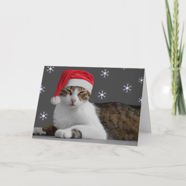 Christmas Cards (Front)