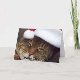 Christmas Cards by iona847
